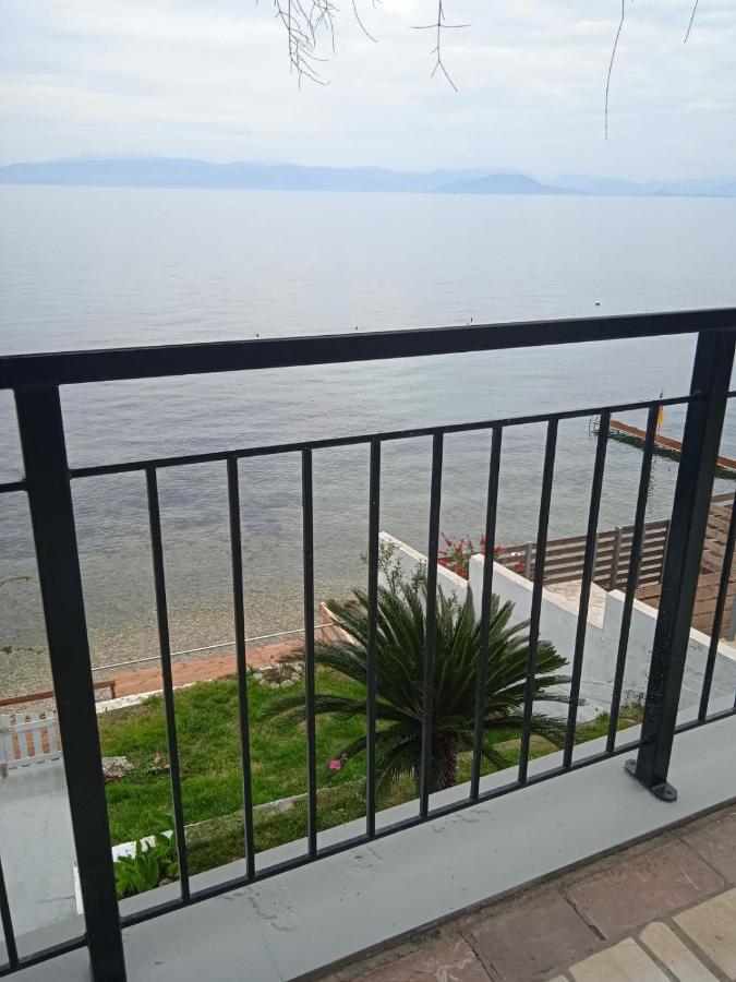 Villa Paul Seafront House Mesongí Esterno foto