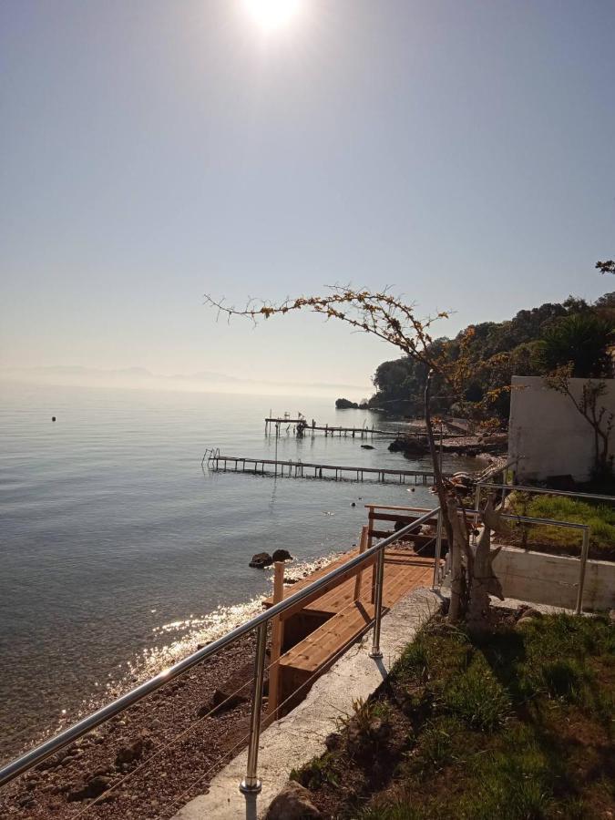 Villa Paul Seafront House Mesongí Esterno foto